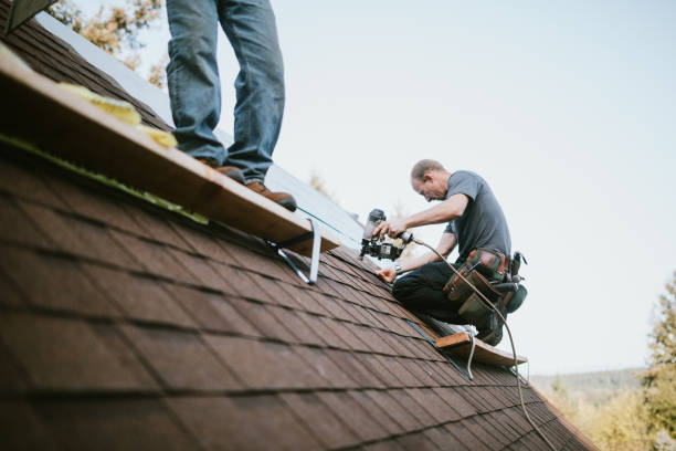 Best Roof Gutter Cleaning  in Junction City, CA